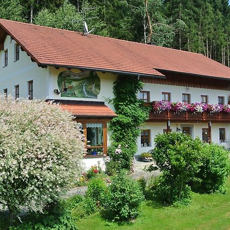 Haus Am Waldrand - Ferienwohnung Augustin Grafenau  Exterior photo