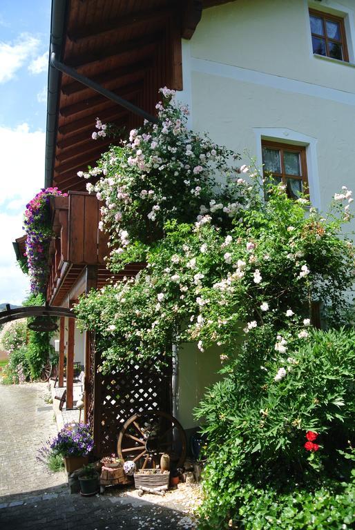 Haus Am Waldrand - Ferienwohnung Augustin Grafenau  Exterior photo